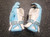Used Maverik Max Koopers Lacrosse Gloves Mens Carolina Blue 13" 11849-S000041604 View 1