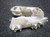 Used Nike VAPOR Adult FB Cleats White Senior 8.5 11849-S000041605 View 6