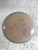 Used Lone Star Disc ALPHA MOCKINGBIRD Disc Golf Driver Pink 176g 10105-S000312297 View 1