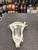Used STX HAMMER U Mens Lacrosse Head White 11894-S000057063 View 4