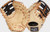 New HEART OF THE HIDE 13" FB 11745-RAWPRORDCT13 View 1