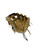 Used Wilson A2000 BB/SB Glove RH Throw Tan 11 3/4" 11861-S000034242 View 1