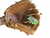 Used Wilson A2000 BB/SB Glove LH Throw Tan 11 1/2" 11479-S000426471 View 3