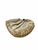Used Rawlings LITE TOE BB/SB Catchers RH Throw Tan 30" 11479-S000426472 View 2