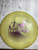 Used Innova CHAMPION DRIVER Disc Golf Driver White 175g 10105-S000312370 View 1