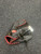 Used Rawlings SELECT PRO LIGHT BB/SB Glove RH Throw Black 12 1/4" 11162-S000458900 View 1