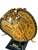 Used Rawlings Player Preferred RFMDCTF Leather Baseball First Base Mitt RH Throw Tan 13" 11731-S000168564 View 2