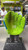 Used Marucci GLOVE BB/SB Glove RH Throw Royal Blue And Lime Green 9" 11477-S000214825 View 2