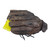 Used Mizuno GSP 1306DBR BB/SB Glove RH Throw Brown 13" 11471-S000174755 View 2