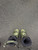 Used Rossignol ALL TRACK Mens DH Ski Boot Dark Green 275 MP - M09.5 - W10.5 11162-S000458972 View 4