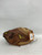 Used Mizuno GXS 38 BB/SB Catchers RH Throw Brown 33" 11871-S000031449 View 2