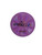 Used Discraft Fossil Proto Approach 171g Disc Golf Putter Purple  11692-S000153843 View 1