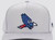 New WAGGLE THE PATRIOT HAT 11477-352PATRIOT View 1