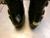 Used Rossignol ACCESS Mens DH Ski Boot Black 305 MP - M12.5 11339-S000204032 View 2