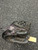 Used Adidas TS1000DCB BB/SB Glove RH Throw Black 10" 11162-S000459128 View 1
