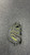 Used Mizuno SOFTBALL CATCHERS MITT BB/SB Catchers RH Throw Black 34 1/2" 11831-S000034359 View 2