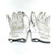Used Franklin ADULT BB/SB Batting Gloves White MD 11805-S000084304 View 2
