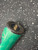 Used Louisville Slugger META BB/SB USSSA 2 3/4 Bat 31" 11162-C000459179 View 6