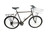 Used WHEELER 800 Mountain Bike Mens Brown 53-57cm - 21-22" - XL Frame 10589-S000435688 View 1
