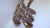 Used Golden Bear GOLDEN BEAR TRACKER Womens Complete Set RH 12 Piece 11879-S000022579 View 5