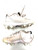 Used Nike TROUT BB/SB Cleats White Youth 12.0 11860-S000311725 View 2