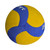 Used Outdoor VB Gold 11708-S000196840 View 2