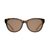 New Tifosi Stella Biking Glasses- Java Tortoise Frame/Brown Lens 11798-97T2030412171 View 2