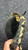 Used All-Star FUTURE STAR BB/SB Catchers RH Throw Black 31 1/2" 11162-S000459311 View 3