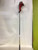 Used EXOTICS CB4 TOUR Mens Fairway Wood RH 3 Wood 11900-S000026799 View 1