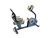 Used Sunny SF-RB4850 Recumbent Bike 11523-S000171154 View 1