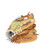 Used Easton X SERIES BB/SB Glove RH Throw Brown 11 1/2" 11749-S000205598 View 1