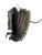 Used Rawlings STORM RH Throw Fastpitch Gloves Grey 11 1/2" 11932-S000172969 View 2