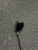 Used Orlimar TRIMETAL II Mens Fairway Wood RH 3 Wood 11162-C000459373 View 3