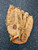 Used Rawlings RBG70 BB/SB Glove RH Throw Brown 11" 11726-S000298737 View 1