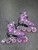 Used RollerDerby ADJ Junior Aggressive Skates Purple Adjustable 11849-S000041850 View 1