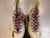 Used RollerDerby ROLLERS Senior Roller Quad Skates White Senior 8 11339-S000204190 View 4