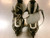 Used Bladerunner ADJ 4-7 Junior Rec Fitness Skates Black Adjustable 11339-S000204207 View 4