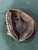 Used Wilson A1000 A10RB19CM33 BB/SB Catchers RH Throw Black 33" 11605-S000223262 View 3