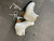 Used EDEA OVERTURE WomensFigure Skate White Senior 14 11614-S000240067 View 1