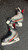 Used Bauer VAPOR X 4.0 Senior Hockey Skate Senior 7 11162-S000459584 View 3