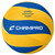 Volleyball Volleyballs View 2