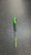 Used Easton MAKO BB/SB USSSA 2 3/4 Bat 31" 11831-S000034469 View 1