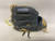 Used Wilson A1000 BB/SB Glove RH Throw Navy Blue 11 3/4" 11895-S000032127 View 1