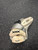 Used Bauer NIKE VAPOR Senior Goalie Catcher White 11162-S000459662 View 1