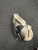 Used Bauer NIKE VAPOR Senior Goalie Catcher White 11162-S000459662 View 2