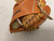 Used Spalding Rising Star 42-665 Baseball Glove RH Throw Brown 10" 11855-S000206954 View 4