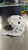 Used CCM AXIS 1.9 GOALIE MASK Senior Goalie Helmet/Mask White MD 11907-S000030218 View 1