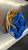 Used Cascade CASCADE XRS PRO HELMET Lacrosse Helmet Royal Blue One Size 11907-S000030219 View 2