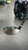 Used Warrior CUSTOM Mens Fairway Wood RH 4 Wood 11477-S000215158 View 2