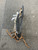 Used STX SUPER POWER TRADITIONAL STRUNG Mens Lacrosse Head Grey 11614-S000240191 View 2